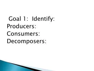 PPT - PRODUCERS, CONSUMERS, And DECOMPOSERS PowerPoint Presentation ...