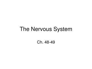 The Nervous System