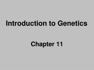 Introduction to Genetics