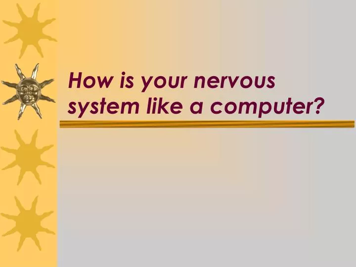 how is your nervous system like a computer
