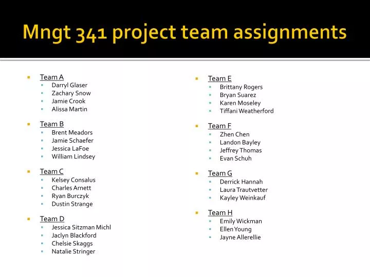 mngt 341 project team assignments