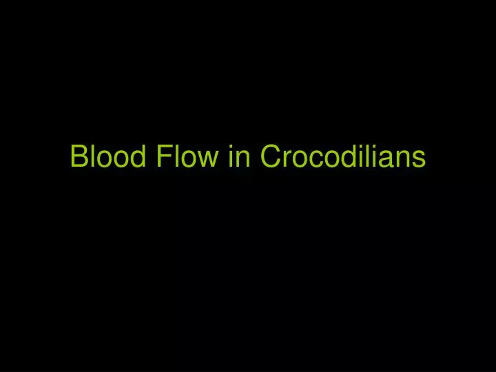 blood flow in crocodilians