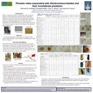 Phoretic mites associated with Dendroctonus beetles and their invertebrate predators