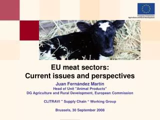 EU meat sectors: Current issues and perspectives