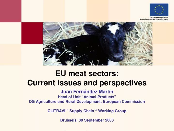 eu meat sectors current issues and perspectives