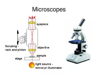 Microscopes