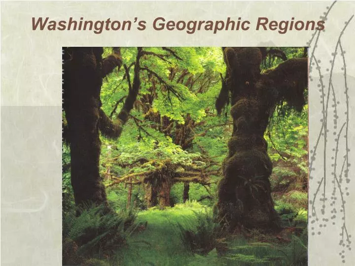 washington s geographic regions