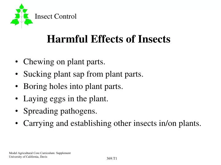 harmful effects of insects