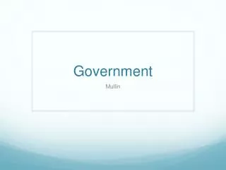 Government