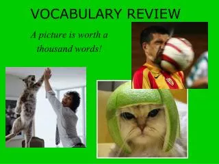 VOCABULARY REVIEW