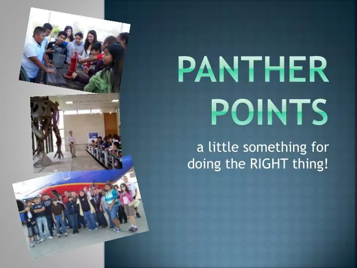 panther points