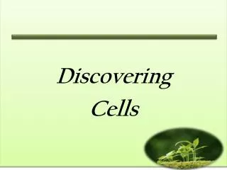 Discovering Cells