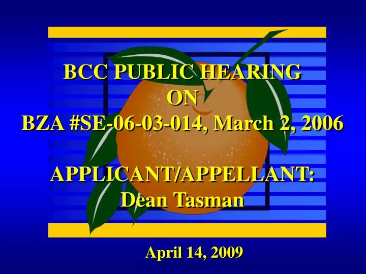 bcc public hearing on bza se 06 03 014 march 2 2006 applicant appellant dean tasman