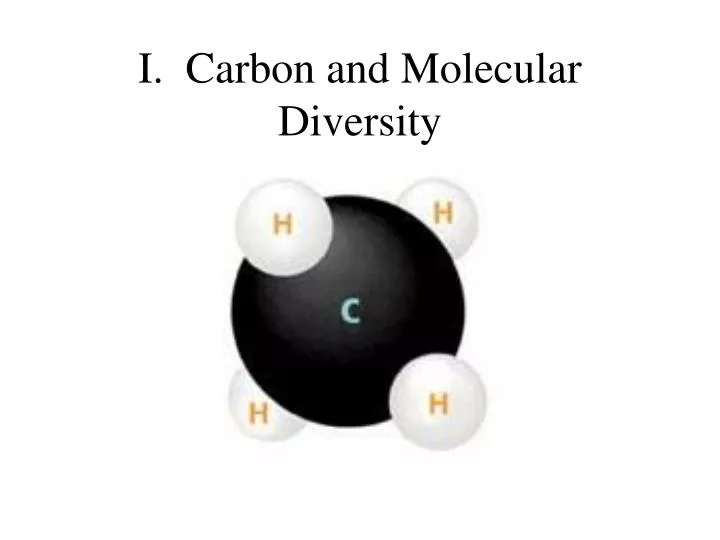 i carbon and molecular diversity