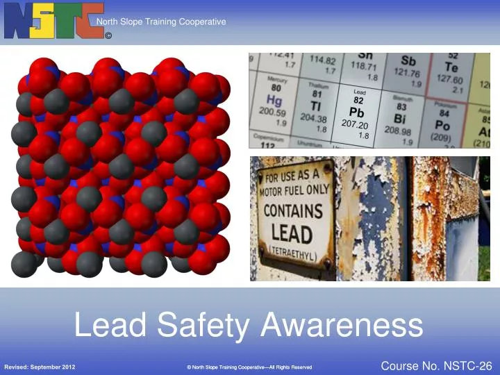 lead safety awareness