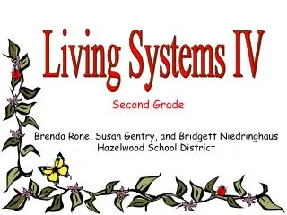 Living Systems IV