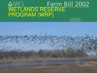 WETLANDS RESERVE PROGRAM (WRP)