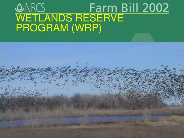 wetlands reserve program wrp