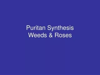 Puritan Synthesis Weeds &amp; Roses