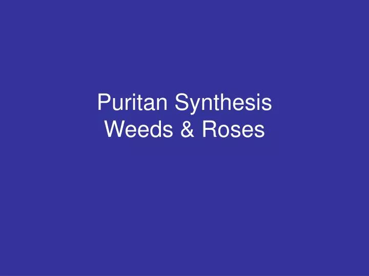 puritan synthesis weeds roses