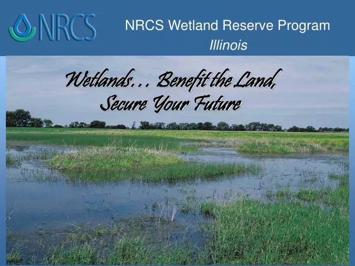 wetlands benefit the land secure your future