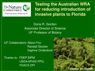 Testing the Australian WRA for reducing introduction of invasive plants to Florida