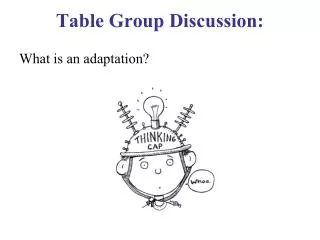 Table Group Discussion: