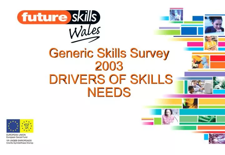 generic skills survey 2003 drivers of skills needs