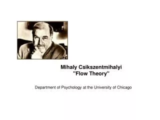Mihaly Csikszentmihalyi &quot;Flow Theory&quot;
