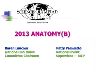 2013 ANATOMY(B)