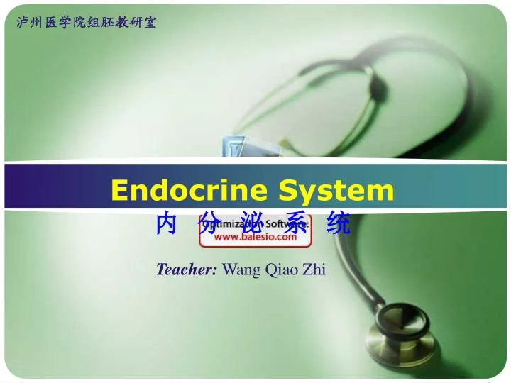 endocrine system