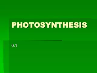 PHOTOSYNTHESIS