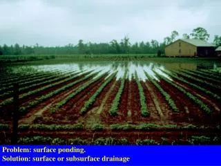 Problem: surface ponding. Solution: surface or subsurface drainage