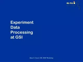 Experiment Data Processing at GSI
