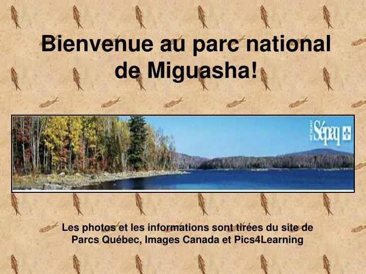 bienvenue au parc national de miguasha