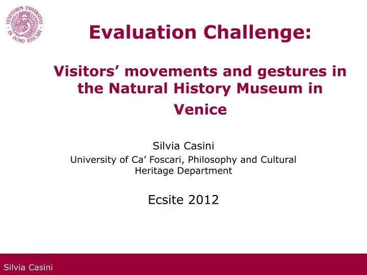 evaluation challenge visitors movements and gestures in the natural history museum in venice
