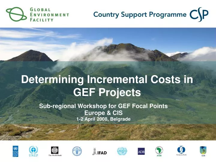determining incremental costs in gef projects