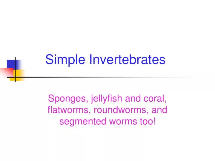 simple invertebrates