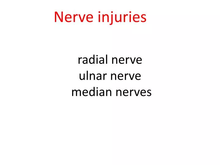 radial nerve ulnar nerve median nerves