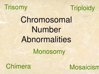 Chromosomal Number Abnormalities