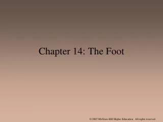 chapter 14 the foot