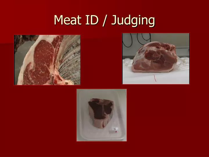 meat id judging