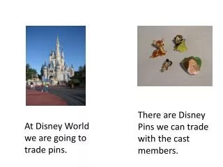 At Disney World we are going to trade pins.