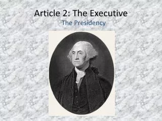 Article 2: The Executive