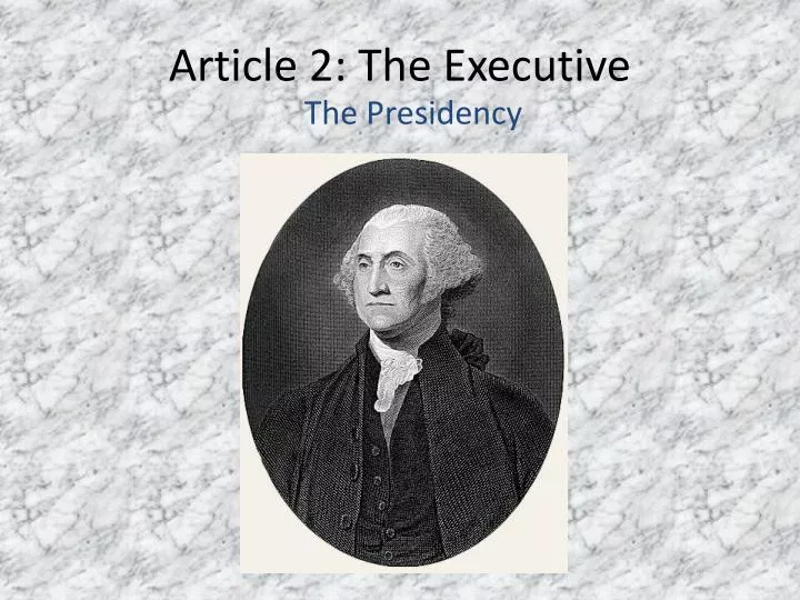 article 2 the executive