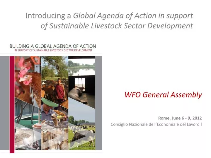 introducing a global agenda of action in support of sustainable livestock sector development