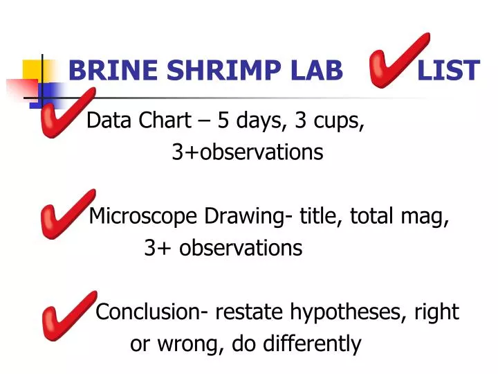 brine shrimp lab list