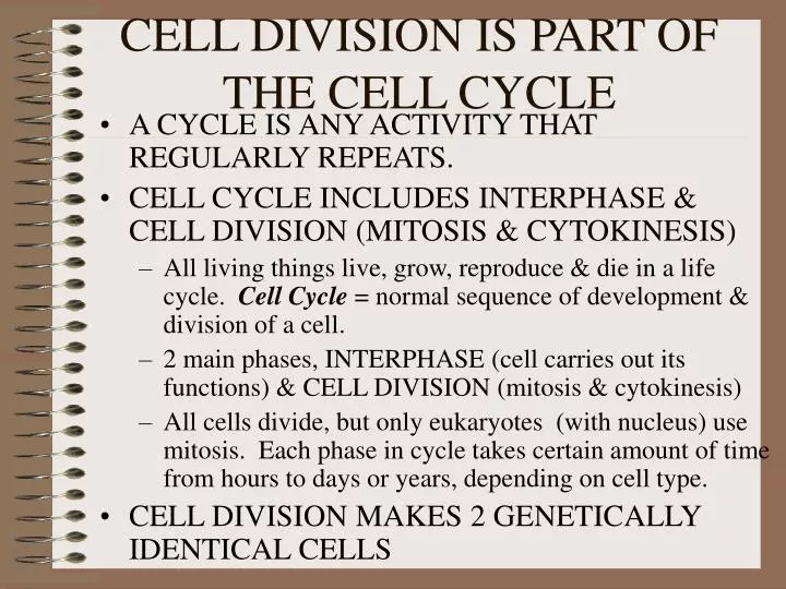 cell division is part of the cell cycle
