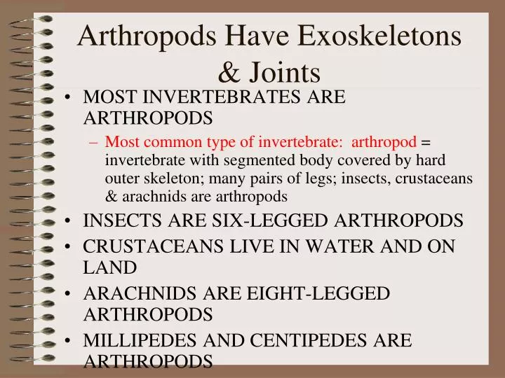 arthropods have exoskeletons joints