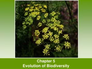 Chapter 5 Evolution of Biodiversity